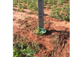 Faca usada no crime foi localizada pela Polícia (Foto: Cedida/Polícia Civil).