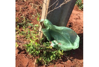Faca usada no crime foi localizada pela Polícia (Foto: Cedida/Polícia Civil).
