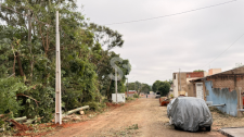 Prefeitura fará supressão preventiva de árvores com risco de queda na Estância Dorigo