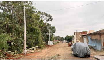 Prefeitura fará supressão preventiva de árvores com risco de queda na Estância Dorigo