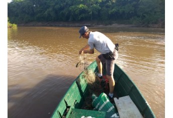 Clique para adicionar uma legendaPeixes encontrados ainda vivos são devolvidos ao Rio Aguapeí (Foto: Cedida/Polícia Ambiental).