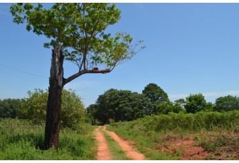 Adamantina finaliza projeto e entra na disputa para se tornar Município de Interesse Turístico