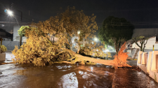 Temporal assusta moradores e provoca estragos em Adamantina