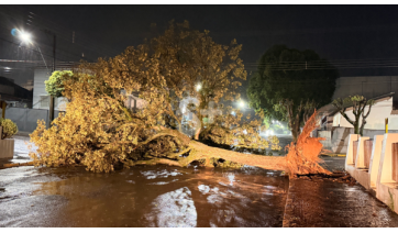 Temporal assusta moradores e provoca estragos em Adamantina