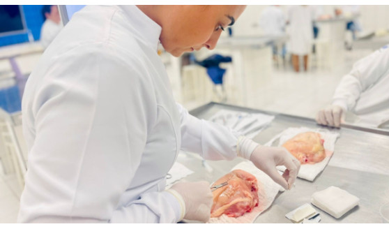 Coren-SP e FAI capacitam 60 enfermeiros em técnicas de sutura em Adamantina