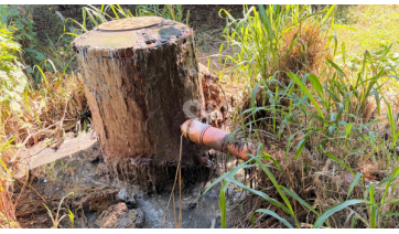 Vazamento recorrente de esgoto no Jardim Primavera contamina área de vegetação em Adamantina