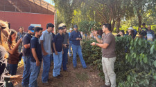 Alunos de agronomia da FAI vivenciam na prática a cadeia produtiva do café em Adamantina
