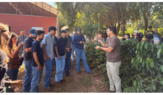 Alunos de agronomia da FAI vivenciam na prática a cadeia produtiva do café em Adamantina