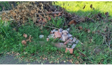 Limpeza de terrenos, descartes de materiais e podas de árvores: Prefeitura faz orientações