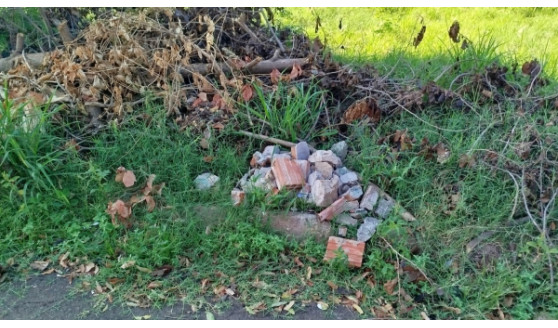 Limpeza de terrenos, descartes de materiais e podas de árvores: Prefeitura faz orientações