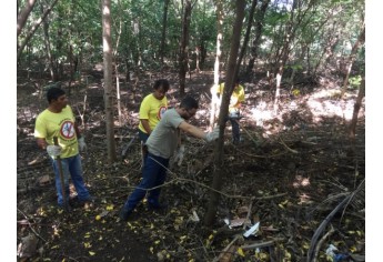 Equipe do Departamento de Controle de Vetores realiza buscas por escorpiões no Jardim Primavera (Foto: Siga Mais).