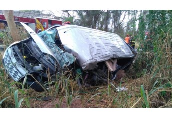 Van ficou parcialmente tombada após a colisão e invadir área de vegetação (Foto: Cedida/PM Rodoviária).