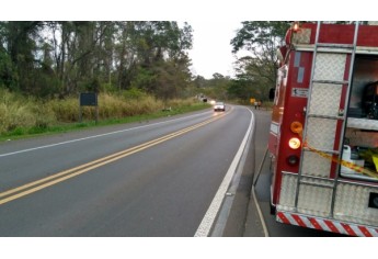 Bombeiros atuam no socorro à vítima, no local do acidente  (Foto: Cedida/PM Rodoviária).