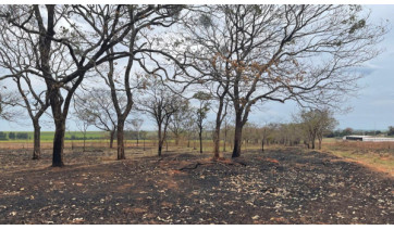 (Cedida/PM Ambiental).