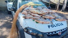Polícia Ambiental apreende mais de 60 kg de peixes em pesca ilegal no Rio Aguapeí, em Lucélia