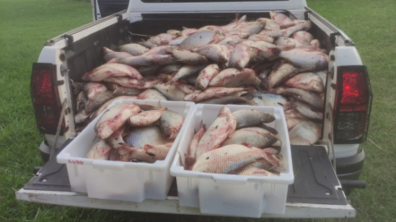 PM Ambiental apreende meia tonelada de peixes e três homens são multados em R$ 32,5 mil