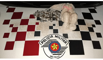 Crianças encontram 51 porções de maconha em urso de pelúcia em Dracena