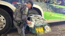 Colombiano é preso pelo TOR com mais de 15 kg de droga em ônibus na SP-294, em Pacaembu