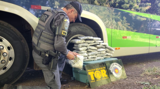 Colombiano é preso pelo TOR com mais de 15 kg de droga em ônibus na SP-294, em Pacaembu