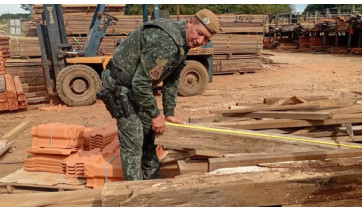 Empresa de Adamantina é multada em R$ 3,2 mil por irregularidade com produto florestal