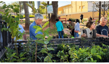 Prefeitura distribui mudas frutíferas gratuitas nesta quarta-feira na Praça Élio Micheloni