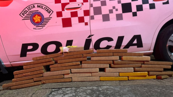 Homem é preso pela PM com mais de 31 kg de maconha em kitnet em Adamantina