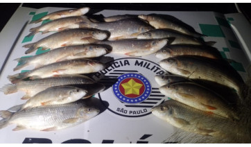Tarrafa e quase 20 quilos de peixes são apreendidos no Rio Aguapeí, em Lucélia; pescadores fogem
