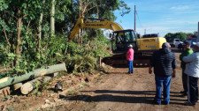 Prefeitura inicia supressão pontual de árvores na área verde da Estância Dorigo