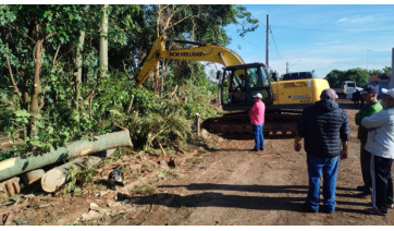 Prefeitura inicia supressão pontual de árvores na área verde da Estância Dorigo