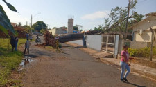 Árvore de grande porte cai em creche, em Tupã