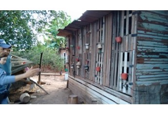Instalações foram descobertas pela Polícia Ambiental e proprietário multado em R$ 95 mil em Parapuã (Foto: Polícia Ambiental/Cedida).