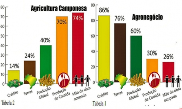 Que tal a gente entender um pouco melhor sobre o desmatamento da Amazônia e as consequências?