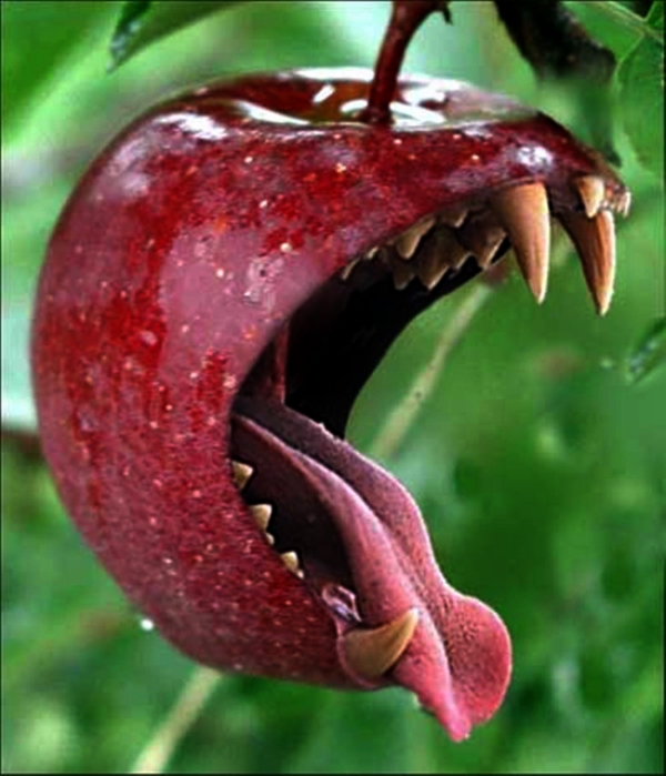 Os frutos da árvore envenenada...