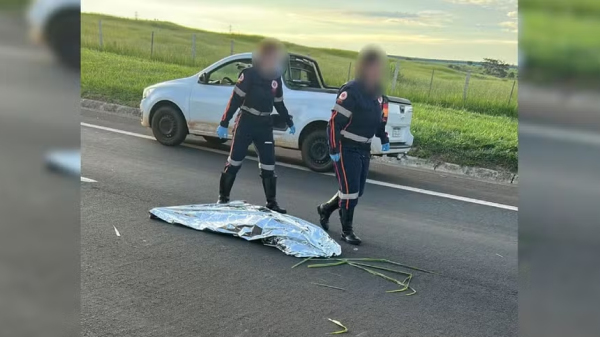 Mulher atropelada foi declarada morta (Reproducao/Redes Sociais).