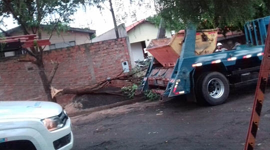 Após queda acidental de parte de árvore e fiação energizada, motorista aguardou na cabine a chegada de socorro (Foto: Cedida).