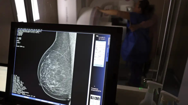 (Imagem: Jose Cruz/Agencia Brasil).