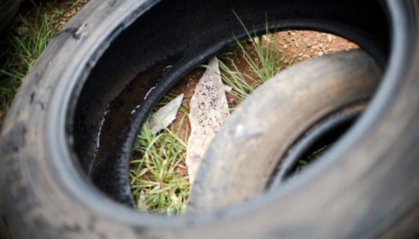 Agentes distribuem panfletos e conscientizam moradores no Dia de Mobilização Nacional contra o Mosquito Aedes aegypti  (Foto: Marcelo Camargo/Agência Brasil).