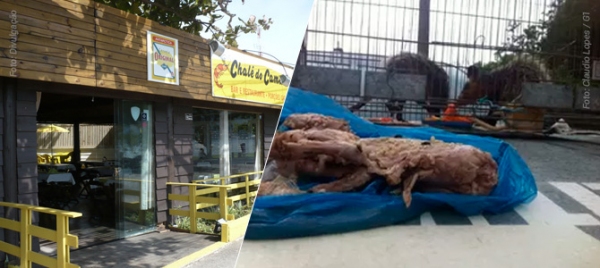 Restaurante fica em ponto turístico da capital catarinense (Imagem: Reprodução).