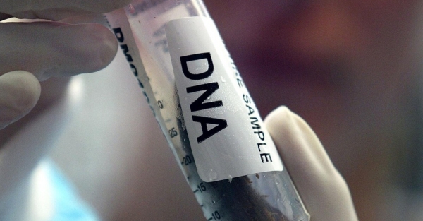 Estão agendadas 67 perícias de coletas de sangue, visando o exame de DNA, e, com isso, o reconhecimento da paternidade dos indivíduos que procuraram pelo serviço (Imagem: Ilustração).