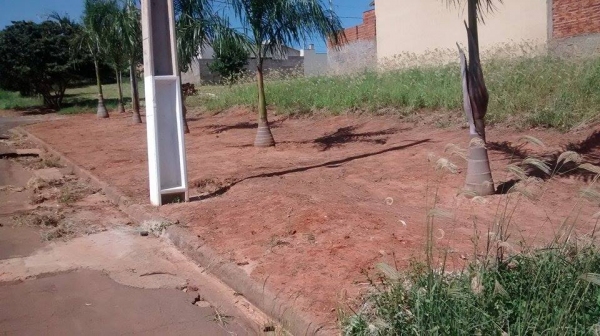 Sem resposta do poder público, morador contrata serviço de limpeza para área verde no Eldorado II (Foto: Cedida).