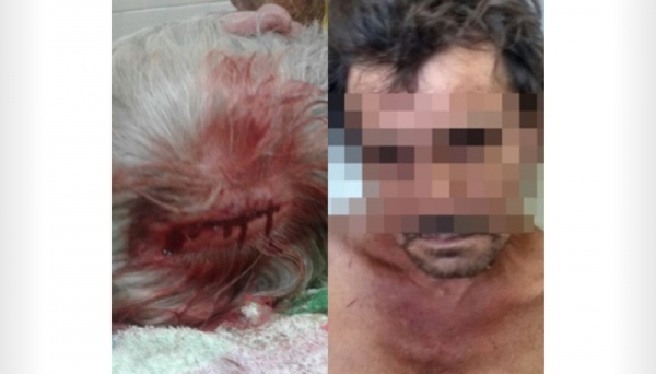 Idosa de 75 anos é agredida com violência pelo filho. Mulher teve ferimentos graves na cabeça. Homem foi preso em flagrante (Foto: Reprodução/Site Jorge Zaonini).