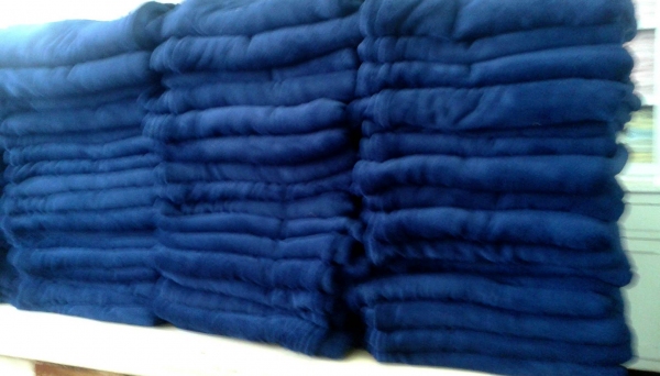 Renda permitiu atender necessidades da ARCA e doação de cobertores à Santa Casa (Foto: Facebook/ARCA).