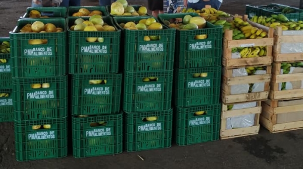 Produção da agricultura familiar, destinada ao Programa de Aquisição de Alimentos (Divulgação/PMA).