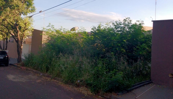 Terreno com mato, no Parque Itapuã, é um exemplo de infração que deverá ser punida com mais rigor a partir de agora (Imagem: Reprodução/Facebook).