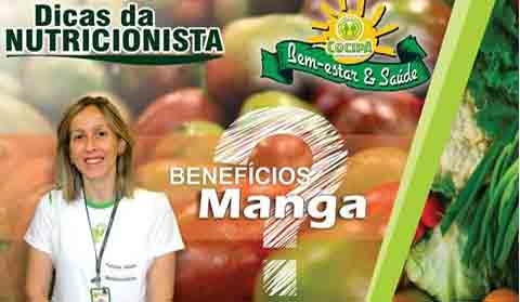 Manga atua na prevenção contra o câncer e no equilíbrio do colesterol