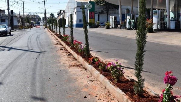Canteiro divisor de fluxo será instalado até a frente do Ganha Tempo. No que já está pronto, foi plantado o cipreste italiano e primavera (Da Assessoria).