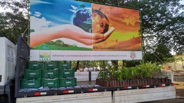 Mudas nativas e frutíferas, distribuídas pela Prefeitura nesta segunda-feira (7) na Praça Élio Micheloni (Divulgação/PMA).