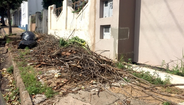 Restos de poda estão depositados há mais de 30 dias na Avenida Deputado Cunha Bueno, área comercial no centro de Adamantina (Foto: Siga Mais).