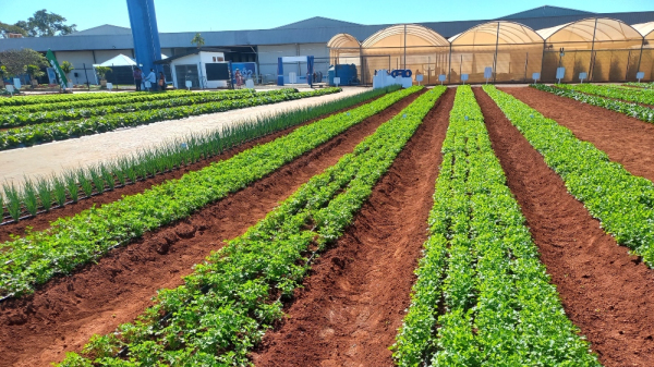 Hortitec em Holambra (Cedida/PMA).