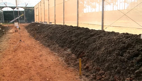Lodo é o resíduo que fica no fundo da lagoa e, após sua extração, passa por um processo de secagem para virar adubo orgânico (Imagem: Reprodução/TV Unesp).